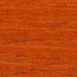 Turuncu 0282