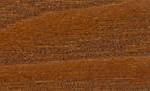 Armut 3001
